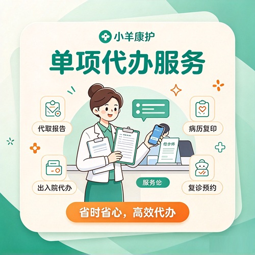 单项代办服务
